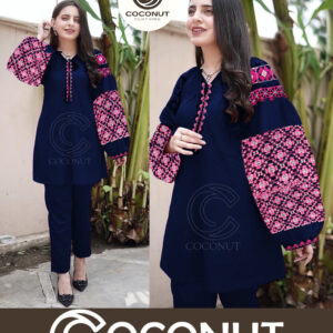Heavy Sleeves Embroidery 2pcs Suit