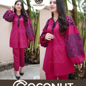 Heavy Sleeves Embroidery 2pcs Suit